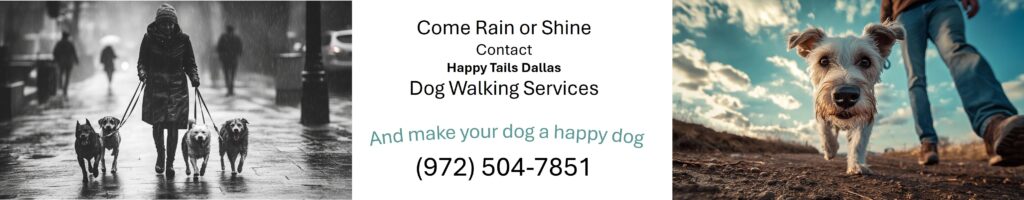 Make Your Dog a Happy Dog, with Regular Dallas Dog Walking Services